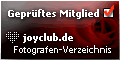 Aktfotografie, Fotografen, Modelle und Forum